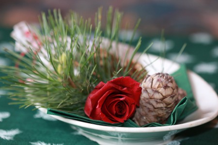 Zirbenzweig  und Zapfen