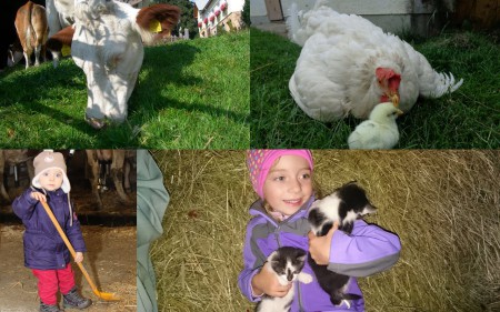 Auf du und du mit den Tieren am Hof