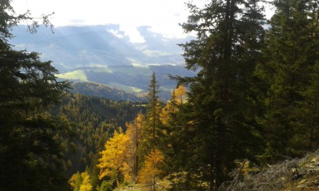 Farbenfroh kleidet sich die Natur im Herbst