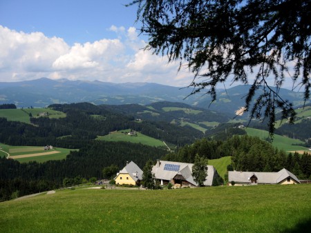 Wo sich Fuchs und Hase "Gute Nacht" sagen