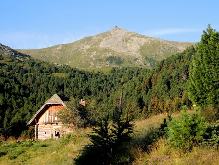 Auf Schusters Rappen durchs Zirbenland
