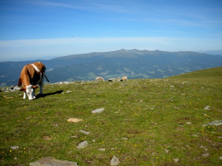 Wandern mit Aus- und Weitblick
