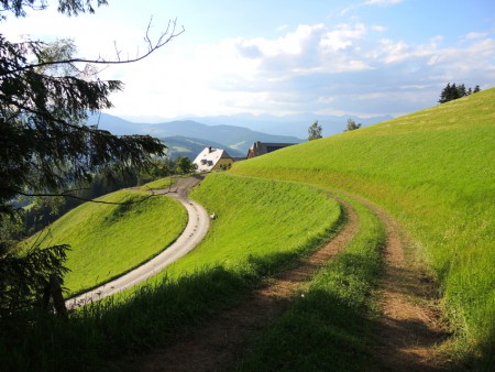 Bänke laden zum Rasten ein